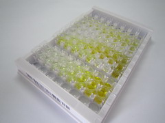 ELISA Kit for Iduronidase Alpha L (IDUa)