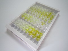 ELISA Kit for Heat Responsive Protein 12 (HRSP12)