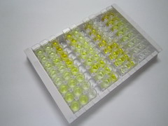 ELISA Kit for Glutaminase 2 (GLS2)