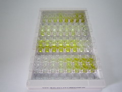 ELISA Kit for Glutaminase (GLS)