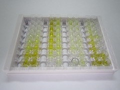 ELISA Kit for Guanine Deaminase (GDA)