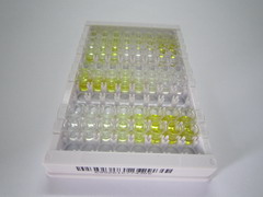 ELISA Kit for Glucose-6-Phosphatase, Catalytic (G6PC)