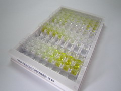 ELISA Kit for Follistatin Like Protein 3 (FSTL3)