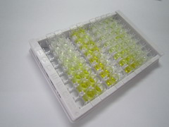 ELISA Kit for Electron Transferring Flavoprotein Dehydrogenase (ETFDH)