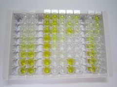 ELISA Kit for Eosinophil Peroxidase (EPX)