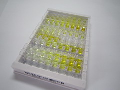 ELISA Kit for E2F Transcription Factor 3 (E2F3)