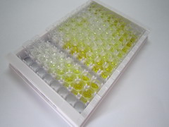 ELISA Kit for Diablo Homolog (DIABLO)