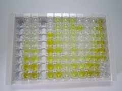 ELISA Kit for Diacylglycerol-O-Acyltransferase Homolog 2 (DGAT2)