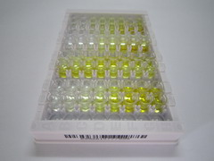 ELISA Kit for DNA Damage Inducible Transcript 3 (DDIT3)