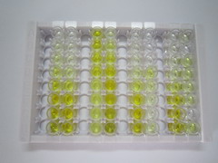 ELISA Kit for D-amino Acid Oxidase Activator (DAOA)