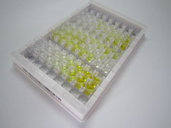 ELISA Kit for Cystatin 4 (CST4)