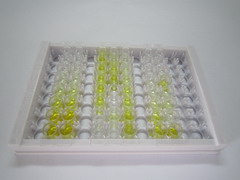 ELISA Kit for Cystatin 1 (CST1)