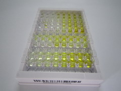 ELISA Kit for Cysteine Rich Transmembrane BMP Regulator 1 (CRIM1)