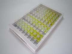 ELISA Kit for Coronin 1A (CORO1A)