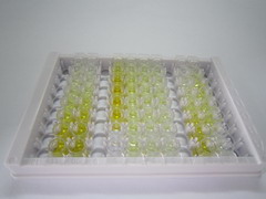 ELISA Kit for Chitinase 1 (CHIT1)