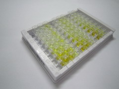 ELISA Kit for Ceramide Kinase (CERK)