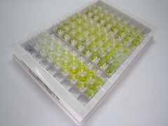 ELISA Kit for BMP Binding Endothelial Regulator (BMPER)