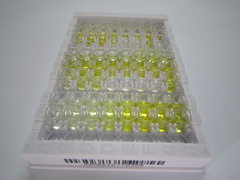 ELISA Kit for BMP Binding Endothelial Regulator (BMPER)