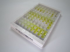 ELISA Kit for Biliverdin Reductase B (BLVRB)