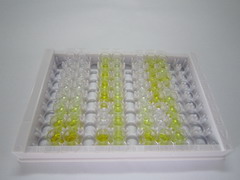 ELISA Kit for Alpha-Methylacyl Coenzyme A Racemase (aMACR)