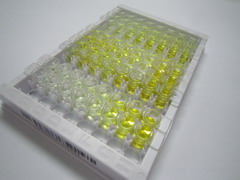 ELISA Kit for RAB1A, Member RAS Oncogene Family (RAB1A)