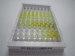 ELISA Kit for NADH Dehydrogenase Ubiquinone Fe-S Protein 1 (NDUFS1)