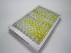 ELISA Kit for Nodal Homolog (NODAL)