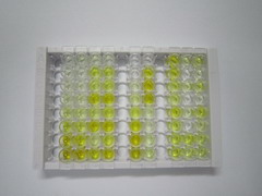 ELISA Kit for Glutamate Receptor, Ionotropic, Delta 2 (GRId2)