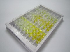 ELISA Kit for Signaling Lymphocytic Activation Molecule Family, Member 7 (SLAMF7)