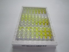 ELISA Kit for EGF Like Module Containing Mucin Like Hormone Receptor 1 (EMR1)