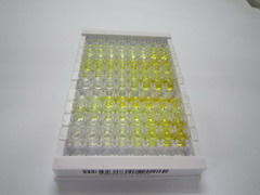 ELISA Kit for Transmembrane Protein 27 (TMEM27)