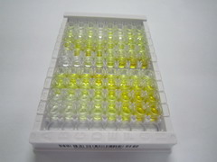 ELISA Kit for Notch Homolog 2 (NOTCH2)