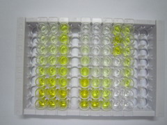 ELISA Kit for CD5 Antigen Like Protein (CD5L)