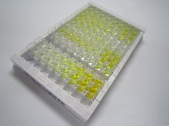 ELISA Kit for Deoxyribonuclease I Like Protein 3 (DNASE1L3)