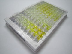 ELISA Kit for DOT1 Like, Histone H3 Methyltransferase (DOT1L)