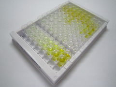 ELISA Kit for Interleukin 1 Family, Member 9 (IL1F9)