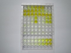 ELISA Kit for Inositol Polyphosphate-4-Phosphatase Type I 107kDa (INPP4A)