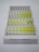 ELISA Kit for Egl Nine Homolog 1 (EGLN1)