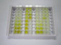 ELISA Kit for UL16 Binding Brotein 2 (ULBP2)