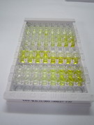 ELISA Kit for Semaphorin 3A (SEMA3A)