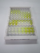 ELISA Kit for Semaphorin 3E (SEMA3E)