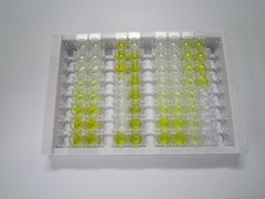 ELISA Kit for Semaphorin 4A (SEMA4A)