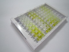 ELISA Kit for Semaphorin 3F (SEMA3F)