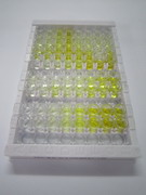 ELISA Kit for Semaphorin 3F (SEMA3F)