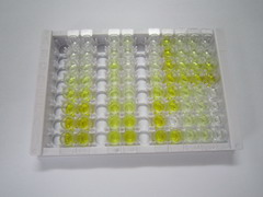 ELISA Kit for NEL Like Protein 2 (NELL2)