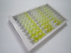 ELISA Kit for Inositol Polyphosphate-4-Phosphatase Type II 105kDa (INPP4B)