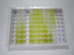 ELISA Kit for R-Spondin 1 (RSPO1)