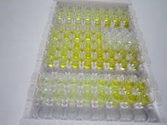 ELISA Kit for Suppressor Of Zeste 12 Homolog (SUZ12)