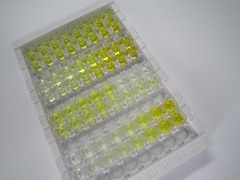 ELISA Kit for Canopy 2 Homolog (CNPY2)