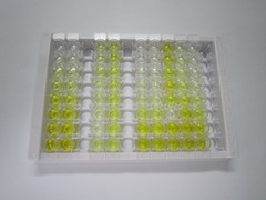 ELISA Kit for Defensin Beta 103B (DEFB103B)